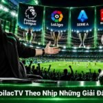 BLV Mán Xoilactv